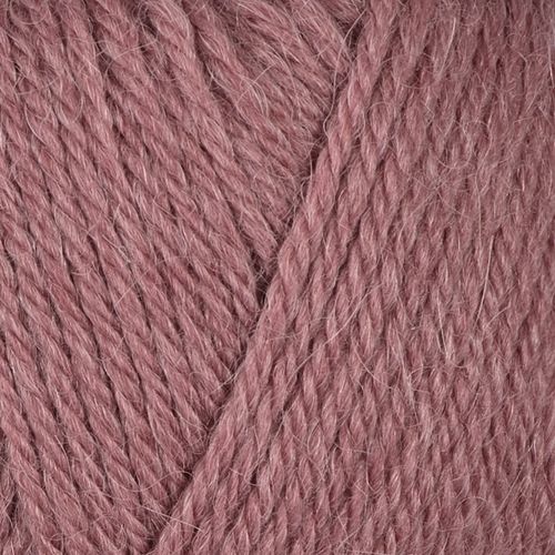 Alpaca storm